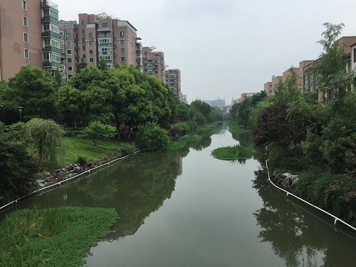河道修復